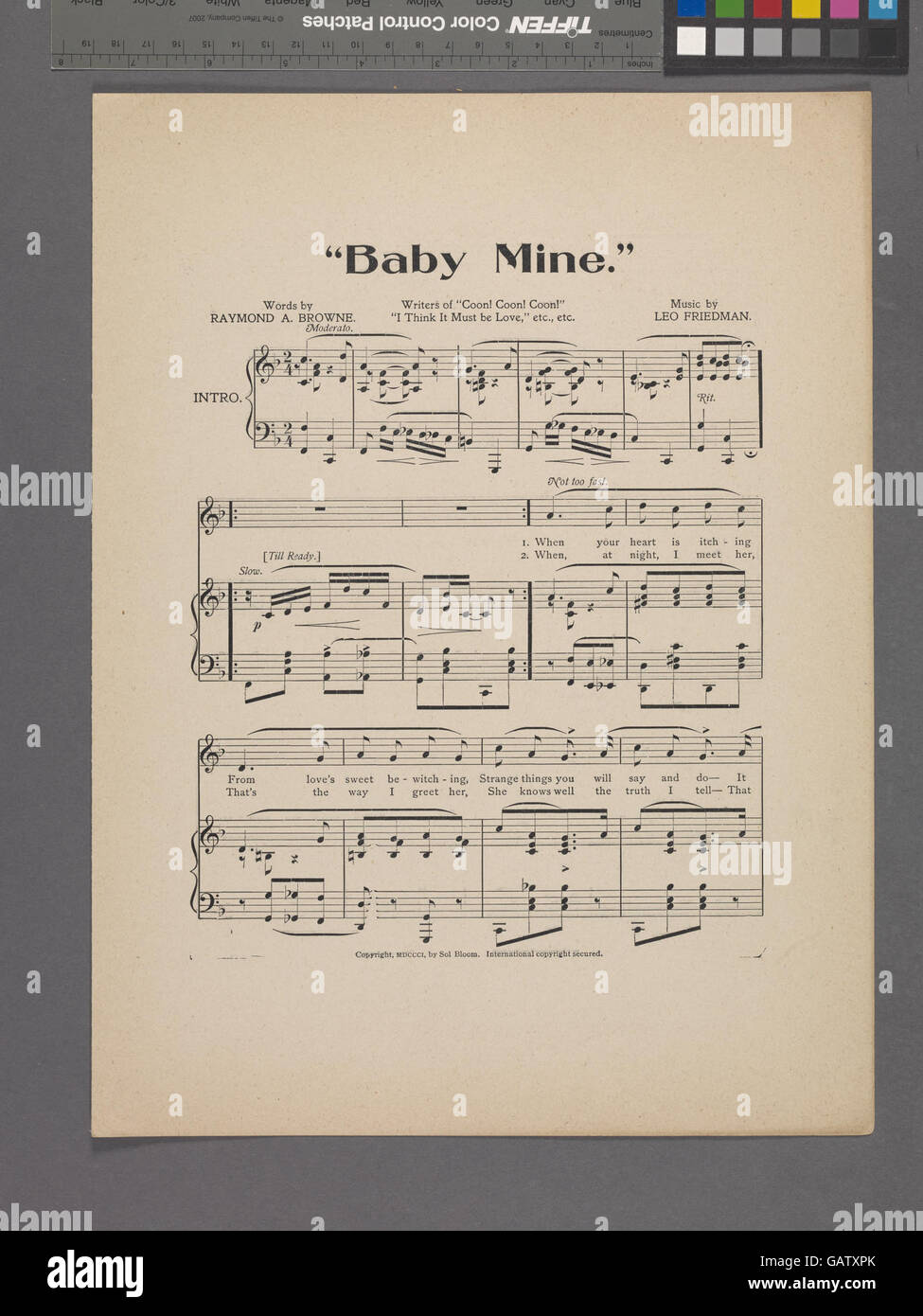 Baby Mine ( Hades-1924397-1952967) Stock Photo