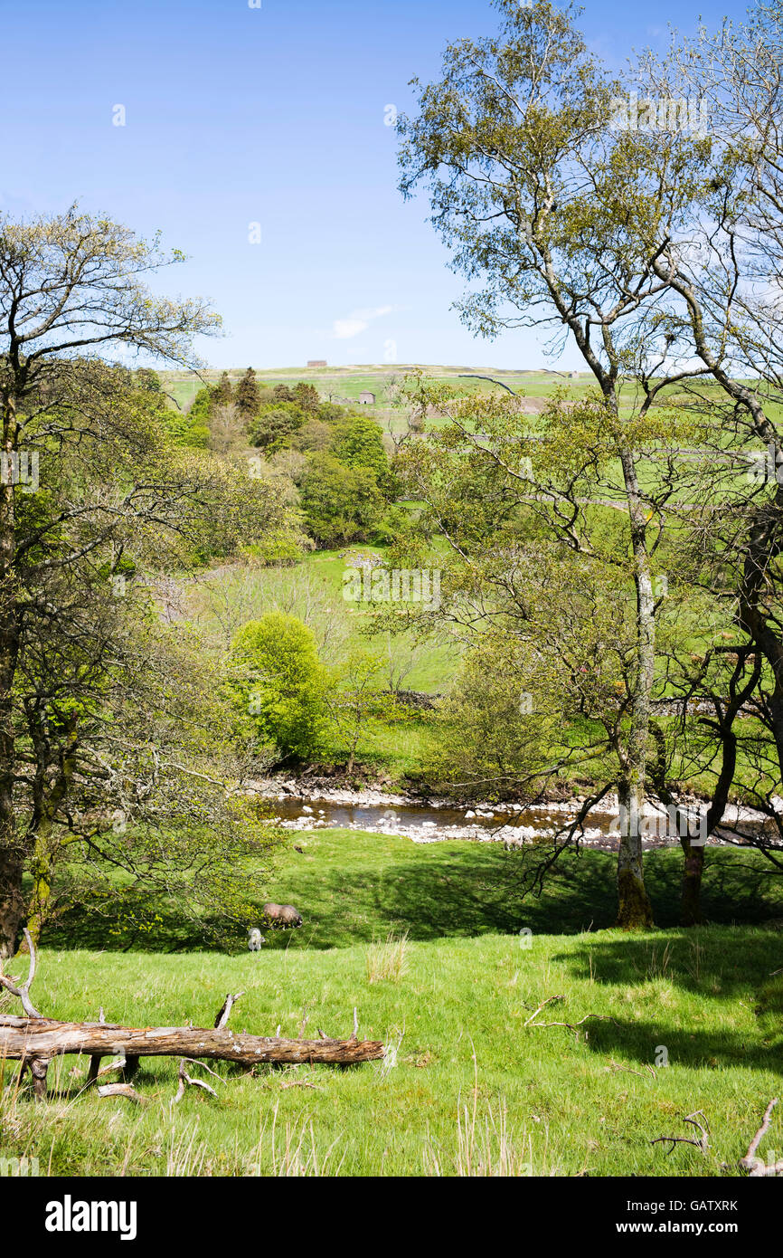 The River South Tyne flowing through the North Pennines, Garrigill, Cumbria, England, UK Stock Photo