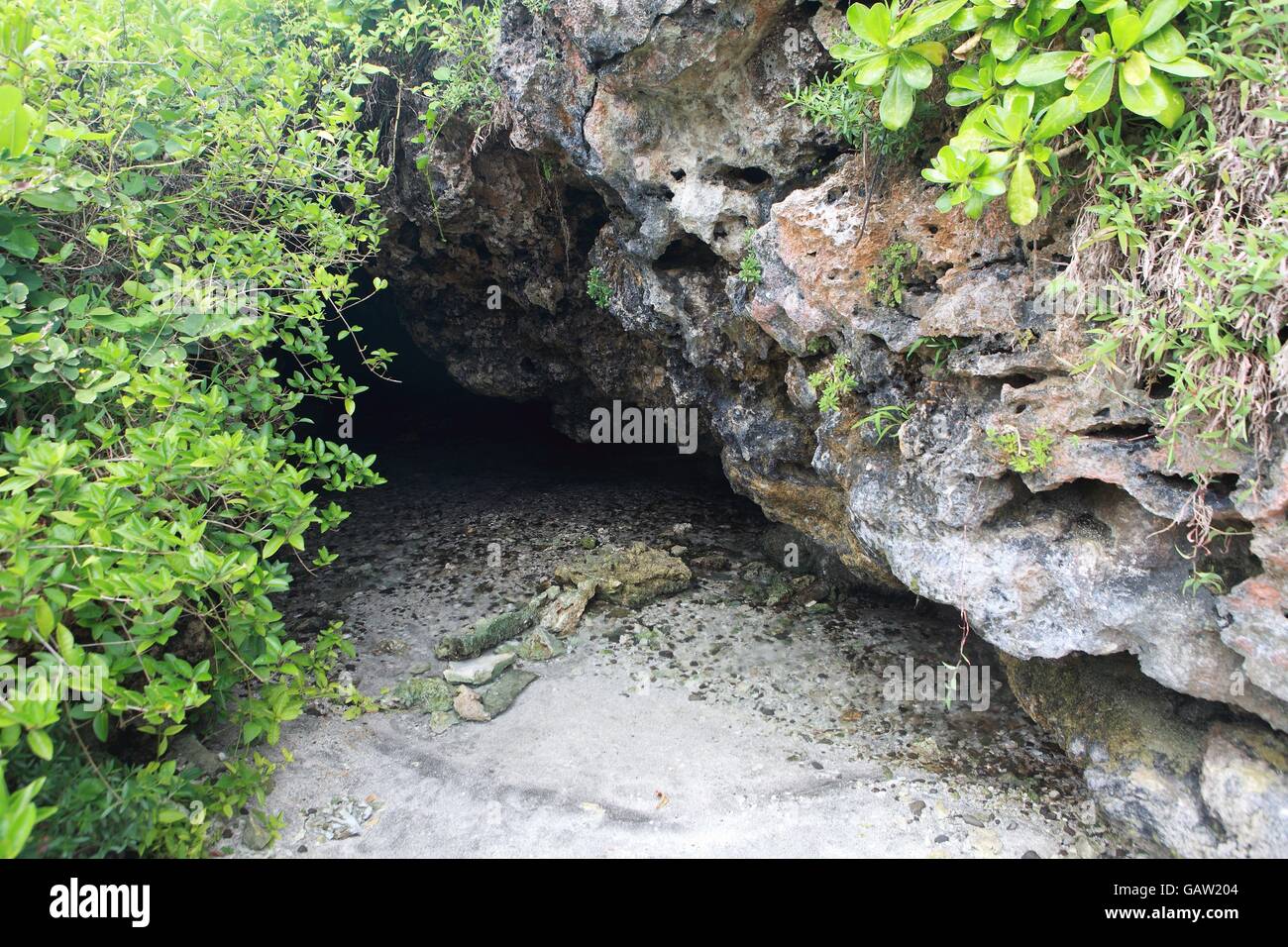 Cold Spring Silver Spring wild silver cold spring Stock Photo - Alamy
