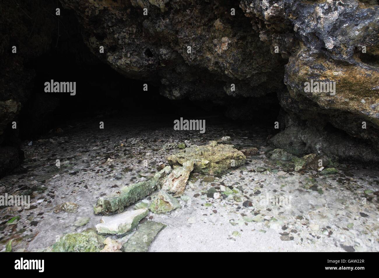 Cold Spring Silver Spring wild silver cold spring Stock Photo - Alamy
