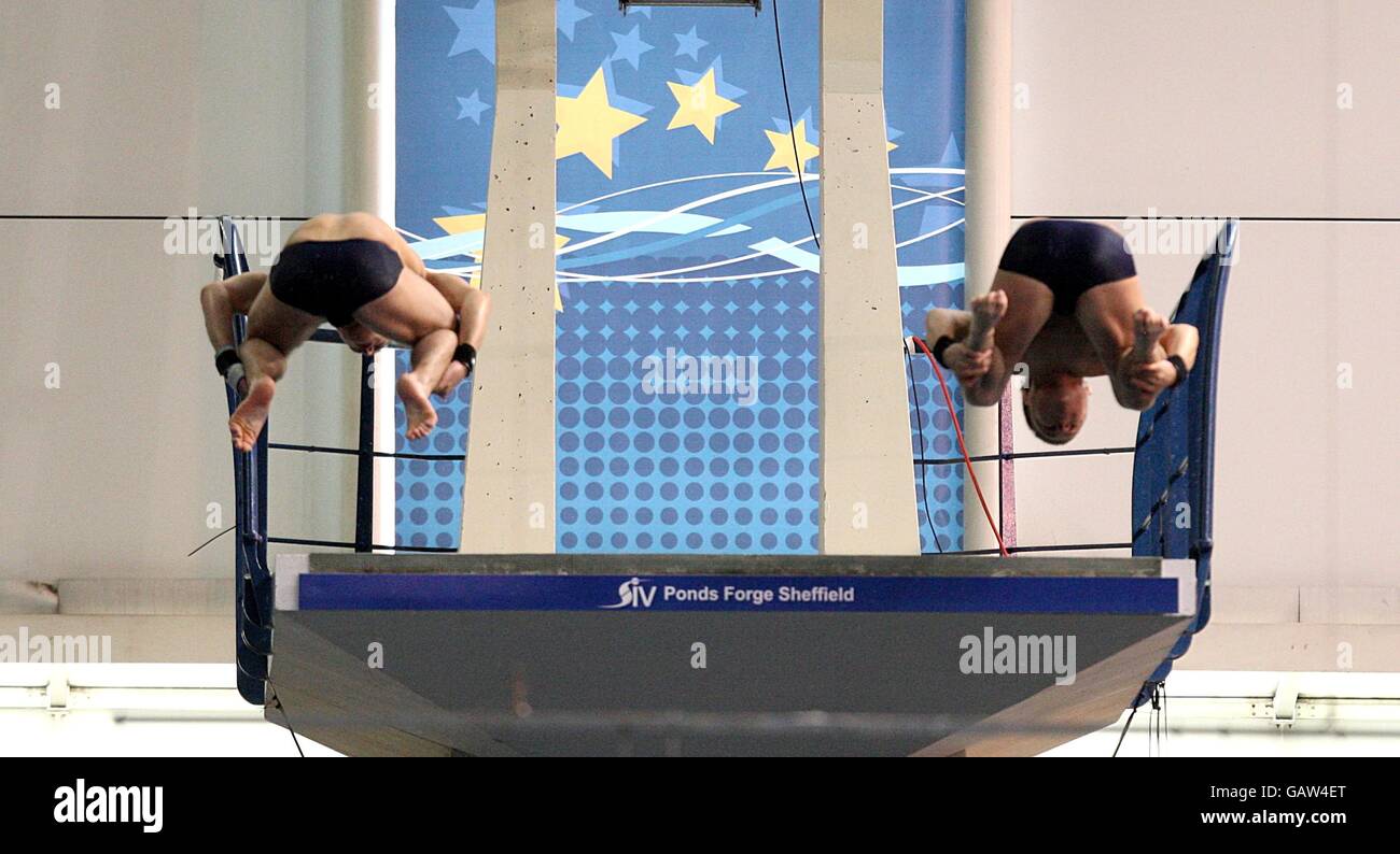 Diving Fina Diving World Series 2008 Day One Ponds Stock