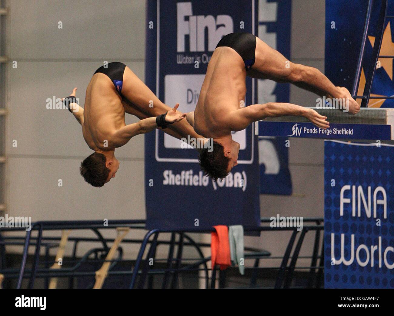 Diving Fina Diving World Series 2008 Day One Ponds Stock