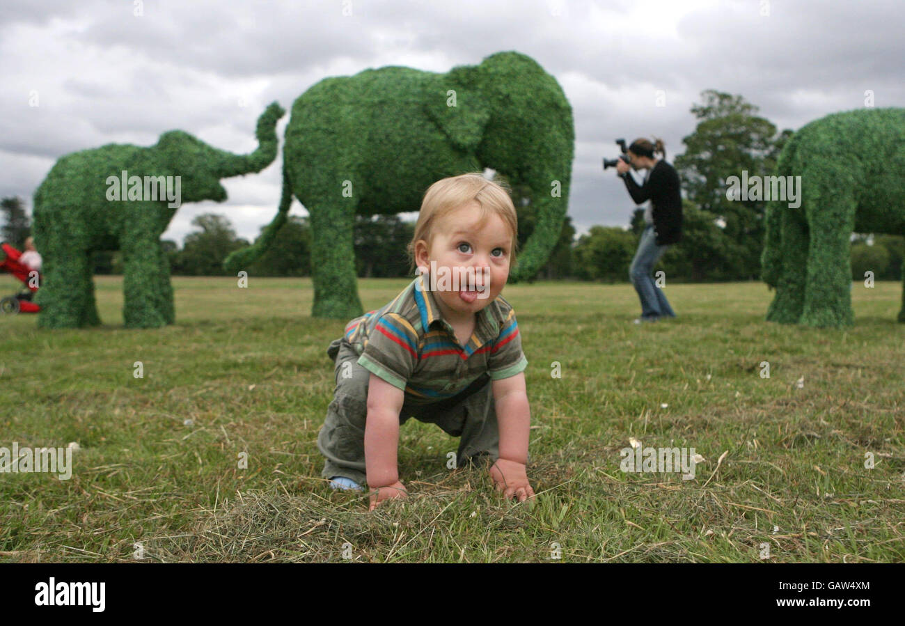 Ben Elliot, 1, from Dublin at the unveiling of a created herd of 13 life size Asian topiary elephants at Phoenix Park in Dublin. Stock Photo