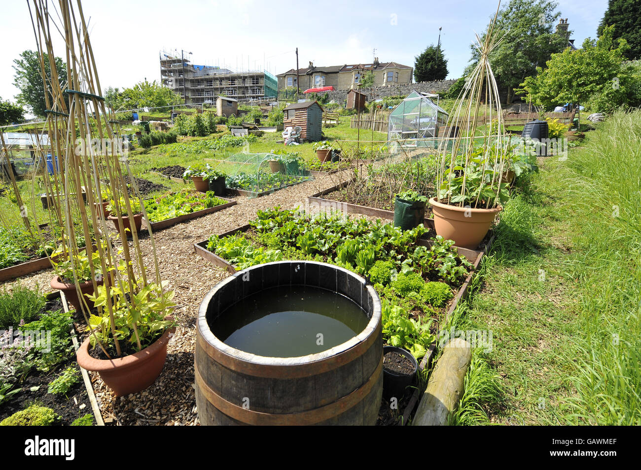 Ashley Vale allotments. Photo credit should read Ben Birchall/PA Stock