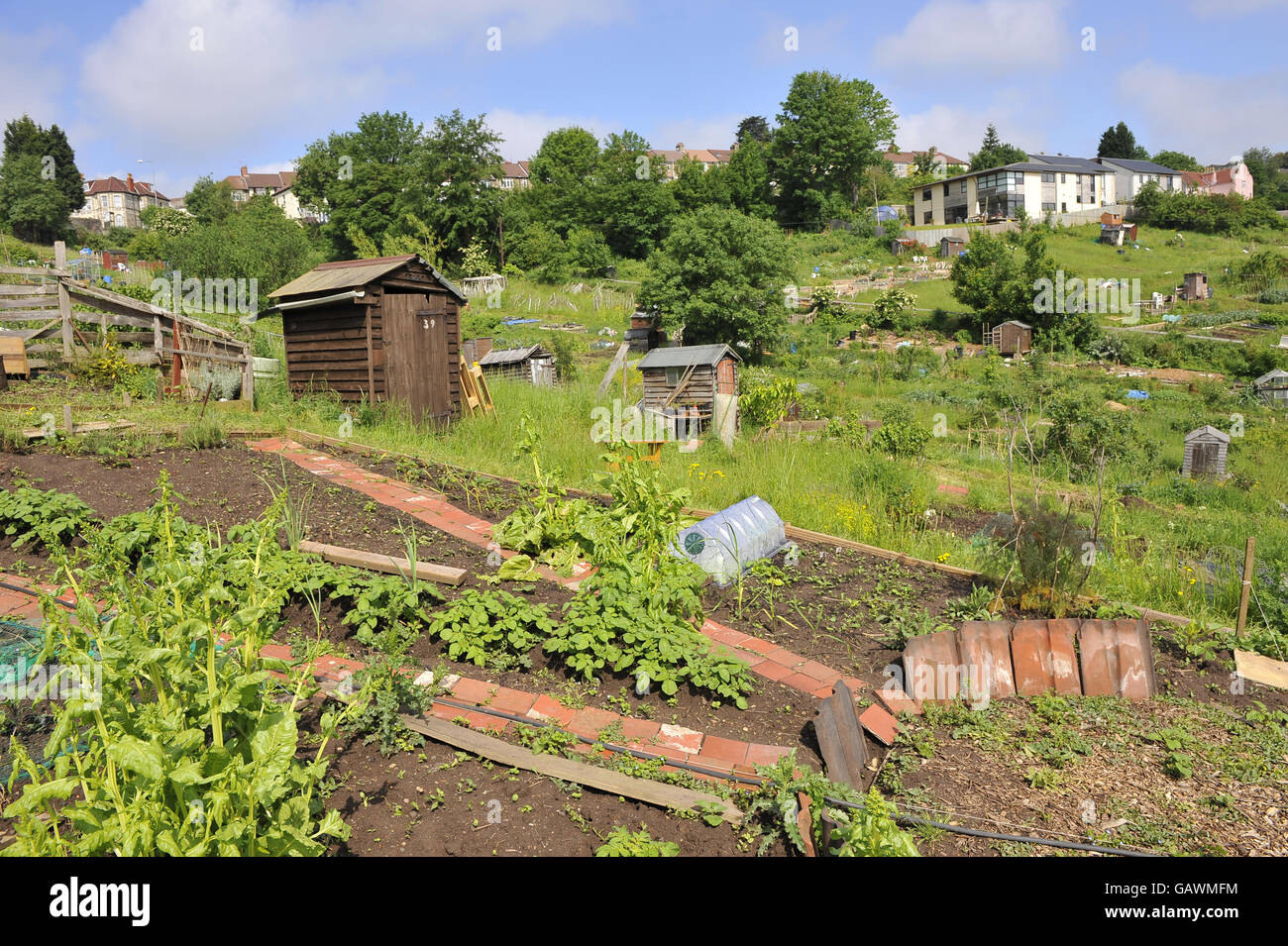 Ashley Vale Allotments, Bristol. Ashley Vale allotments in Bristol