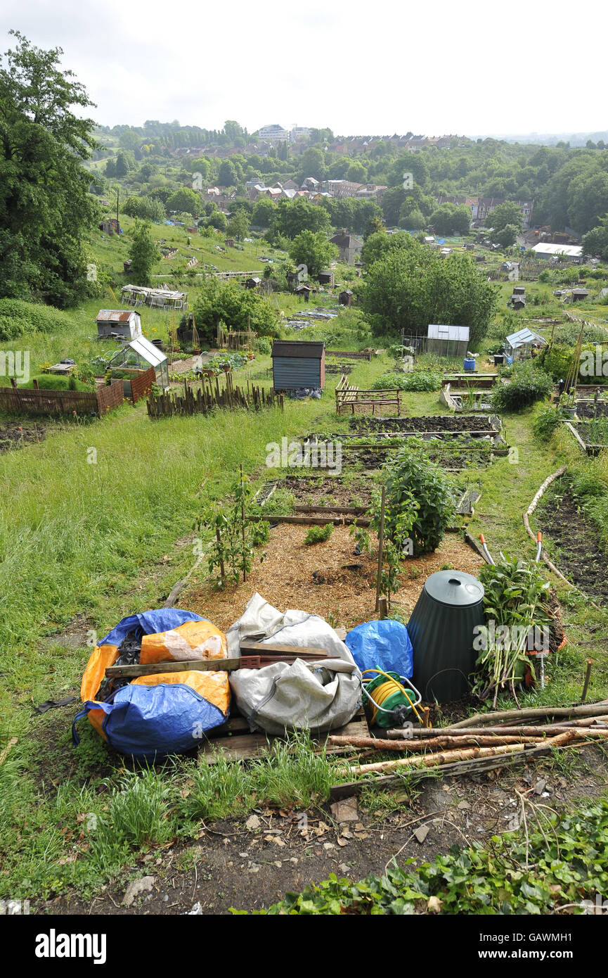 Ashley Vale allotments in Bristol Stock Photo Alamy