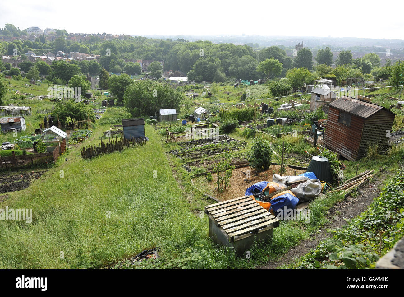 Allotments stock. Ashley Vale allotments in Bristol Stock Photo Alamy