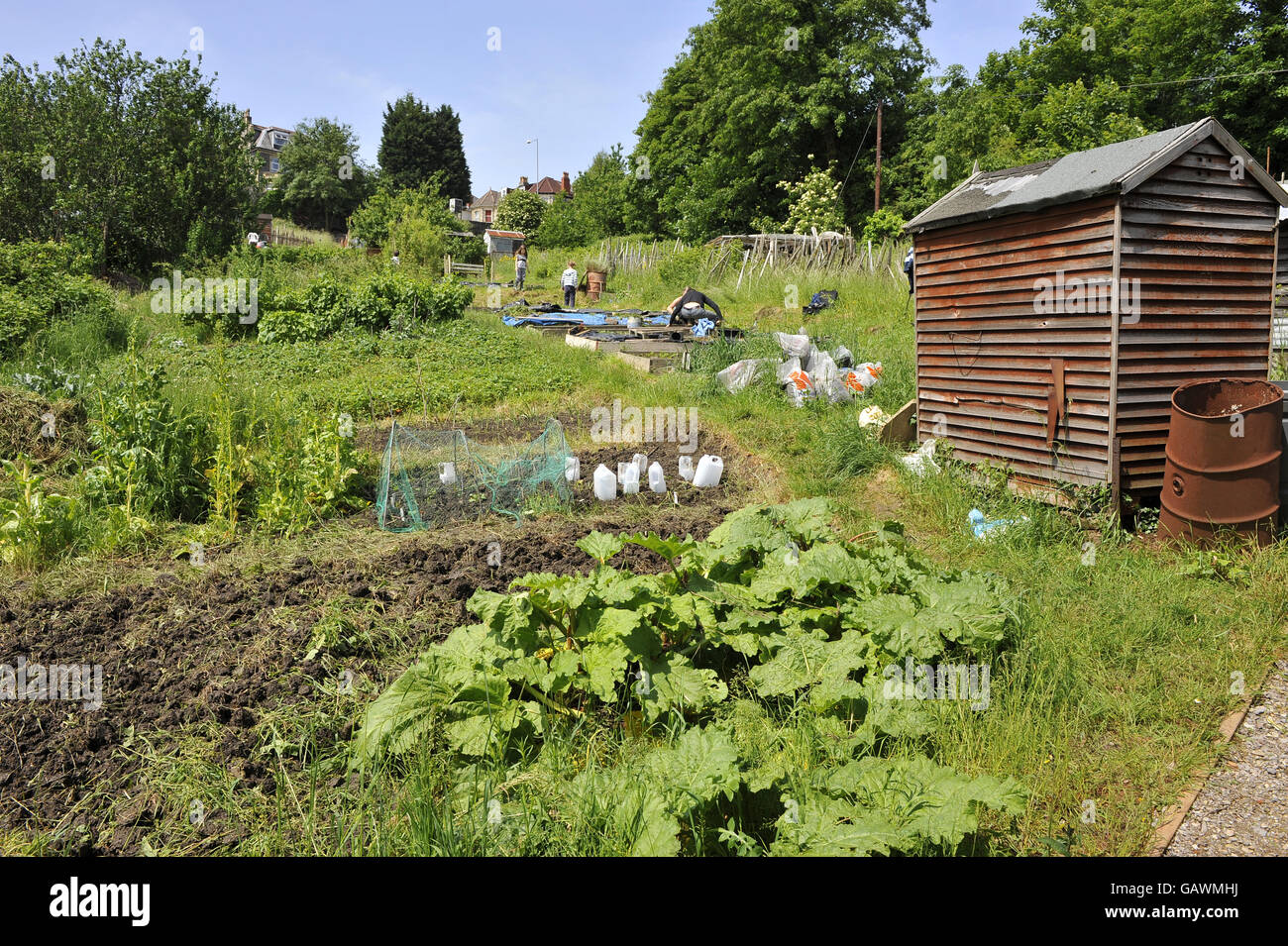 Ashley Vale allotments in Bristol. Photo credit should read Ben
