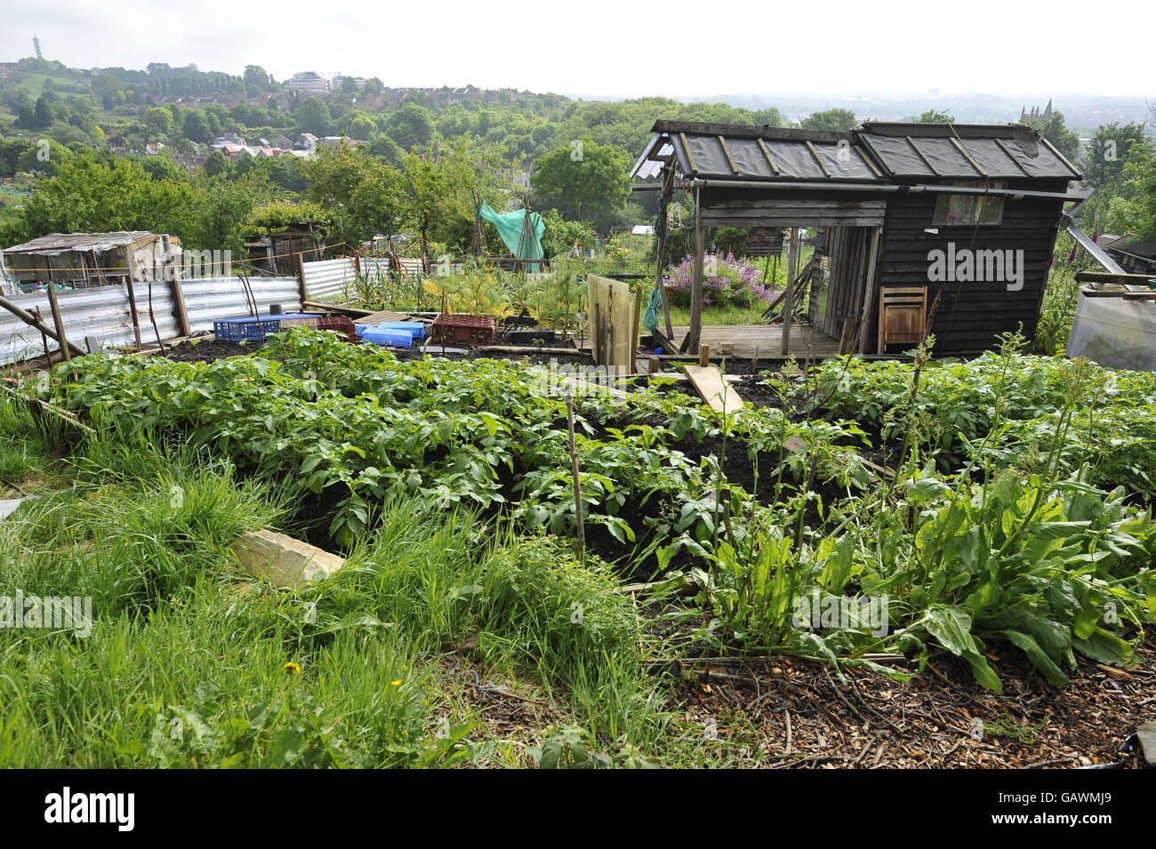 Allotments bristol hires stock photography and images Alamy