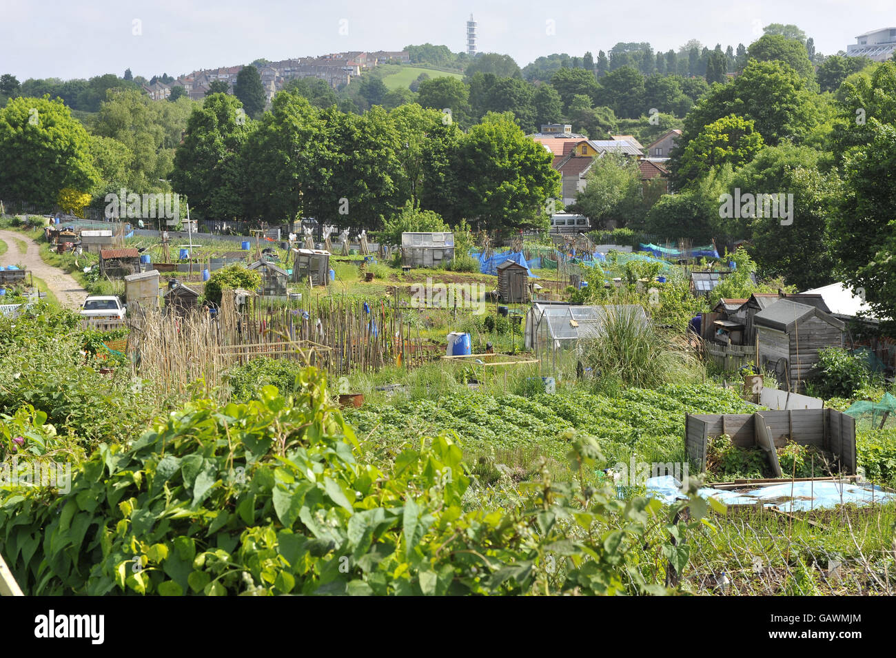 Ashley vale allotments in bristol hires stock photography and images