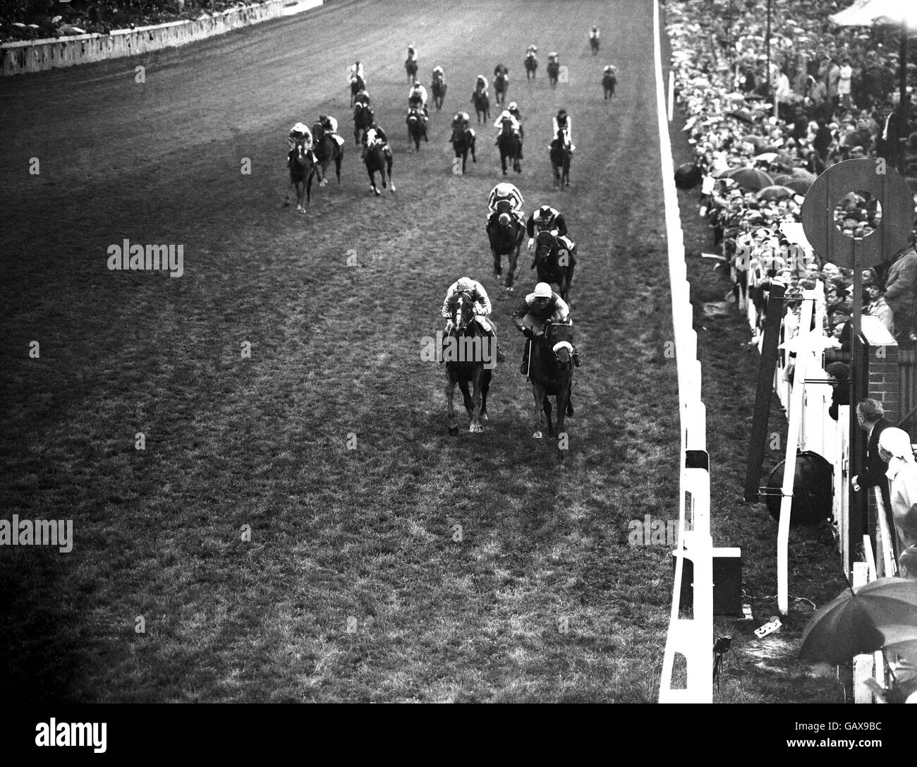 Charlottown (r), Scobie Breasley up, passes the post ahead of Pretendre (l), Paul Cook up, Black Prince II (behind r), Jimmy Lindley up, and Sodium (behind l), Frankie Durr up, to win the Derby Stock Photo