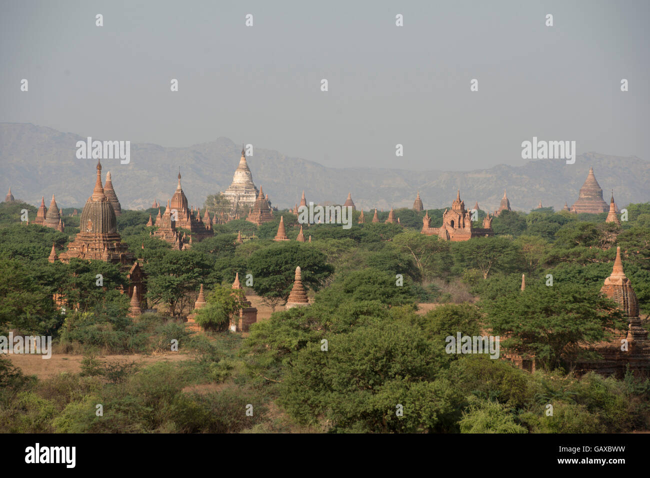 the Temple and Pagoda Fields in Bagan in Myanmar in Southeastasia. Stock Photo