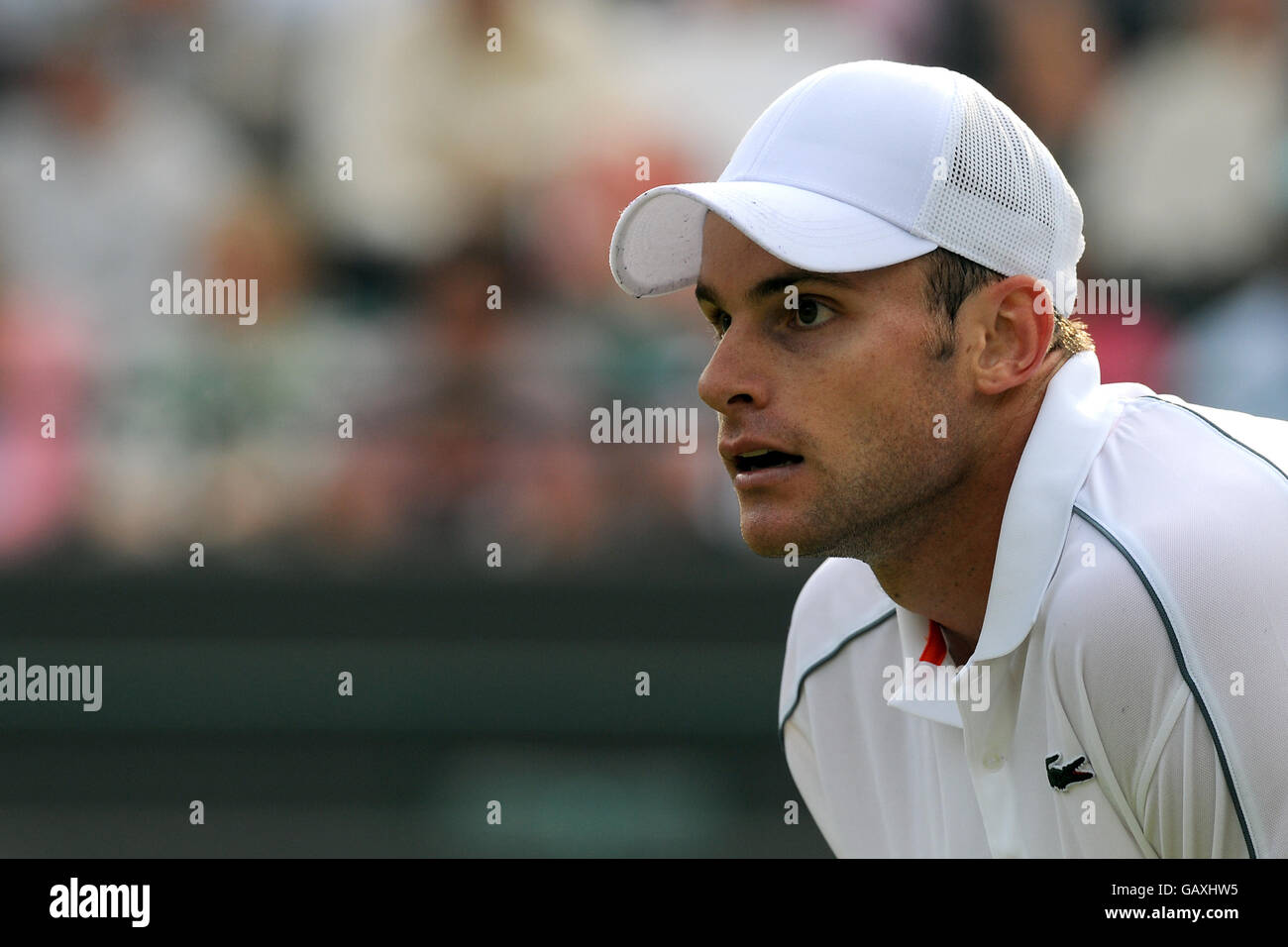 USA's Andy Roddick in action during the Wimbledon Championships 2008 at ...