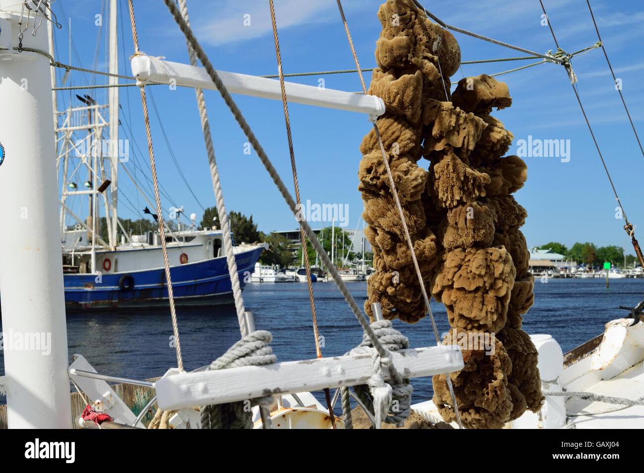 Worlds Finest Sponges hanging from a boat at the docks in a Greek Community in Tarpon Springs, Florida. Stock Photo