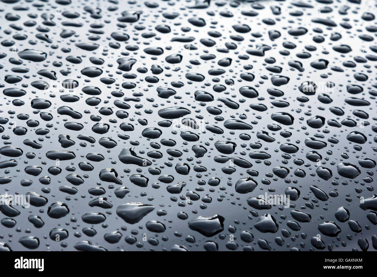 Water droplets on a smooth surface Stock Photo - Alamy