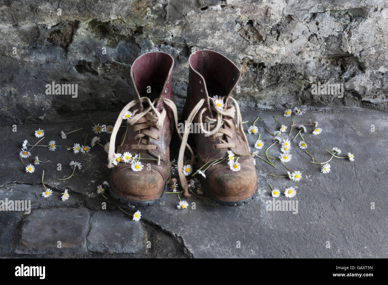 A pair of old leather work boots on workshop floor with daisy flowers. Stock Photo