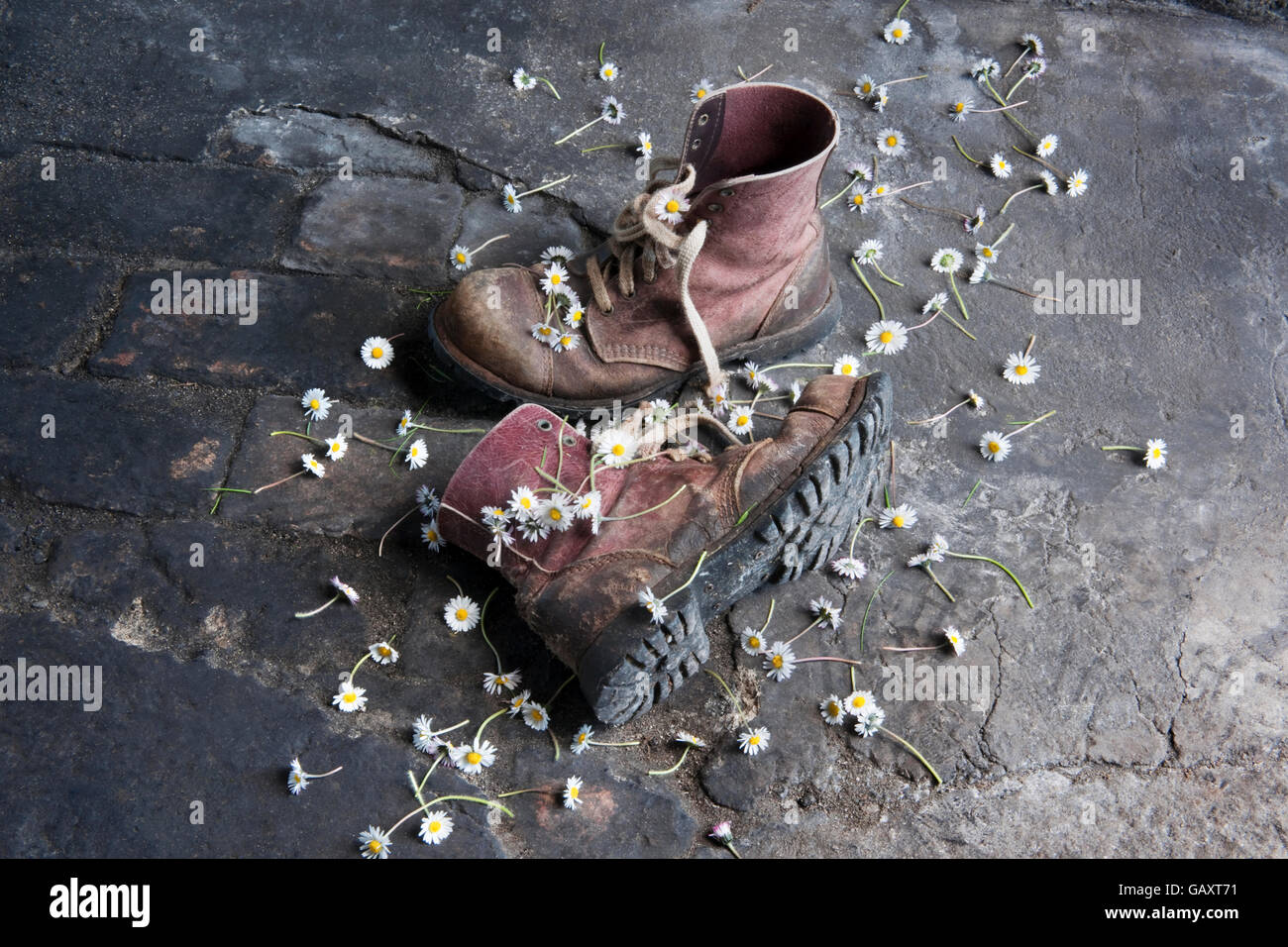 A pair of old leather work boots on floor with daisy flowers