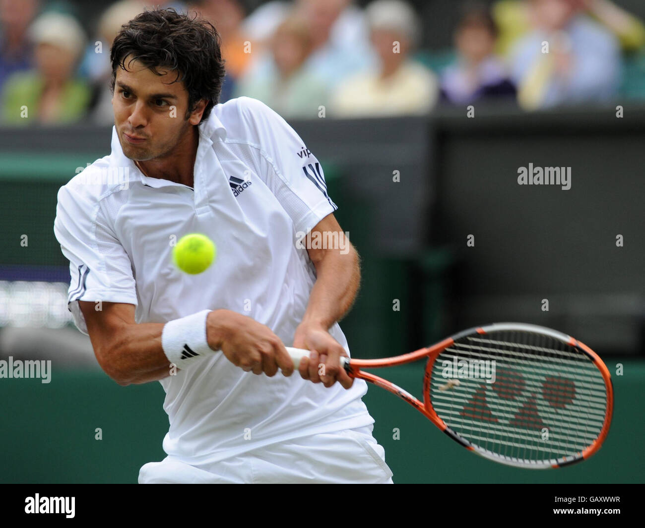 Croatian tennis player mario ancic hi-res stock photography and images -  Alamy