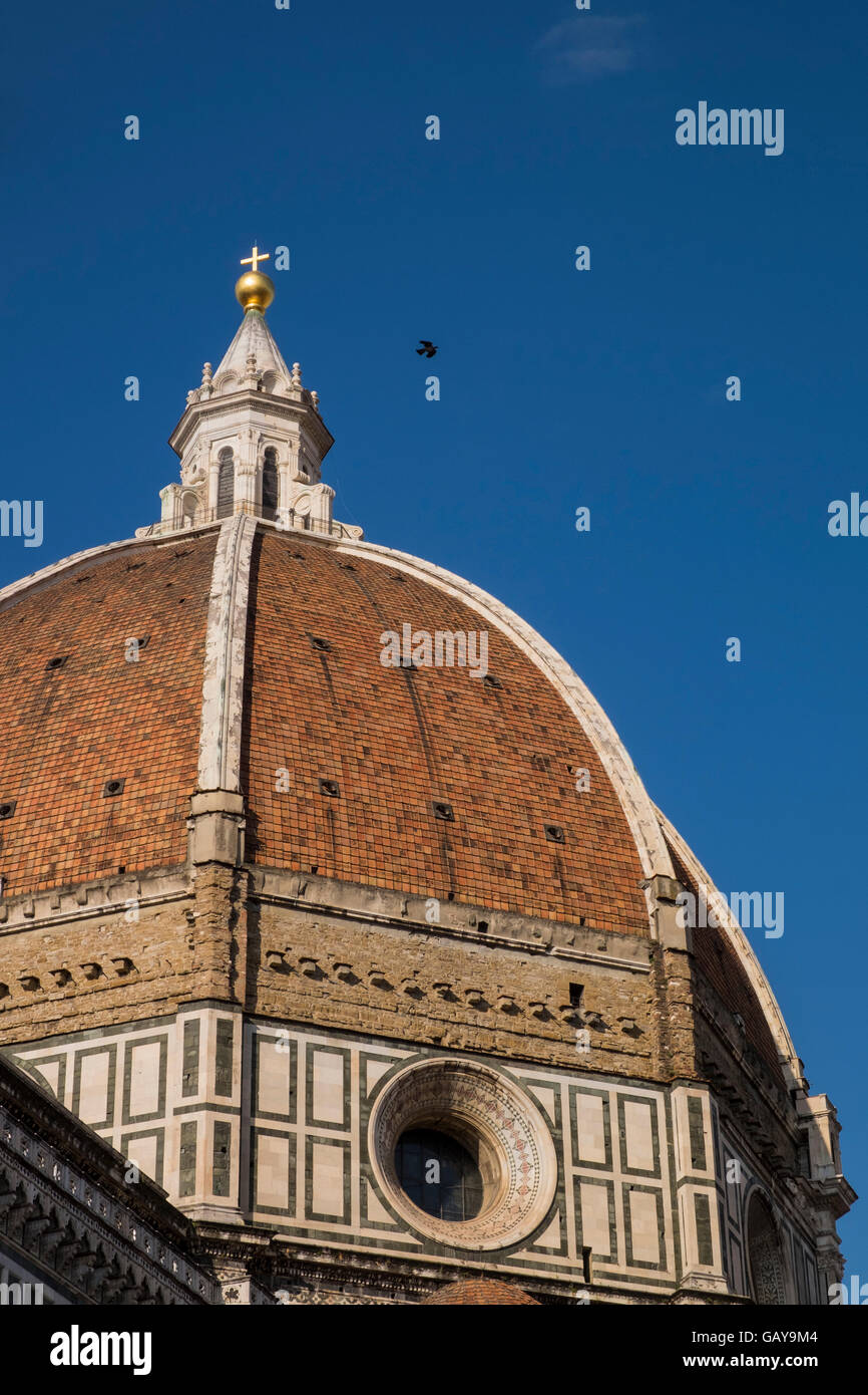 Dome, Duomo, of the cathedral of Santa Maria del Fiore in Florence ...