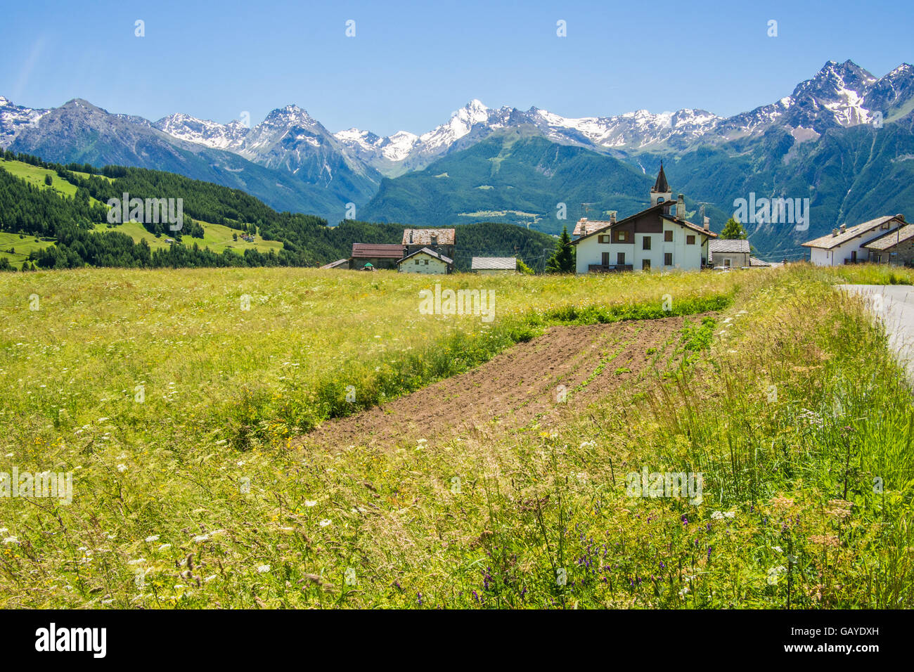 Plot of land used for vegatables & Lignan, a mountain village in the