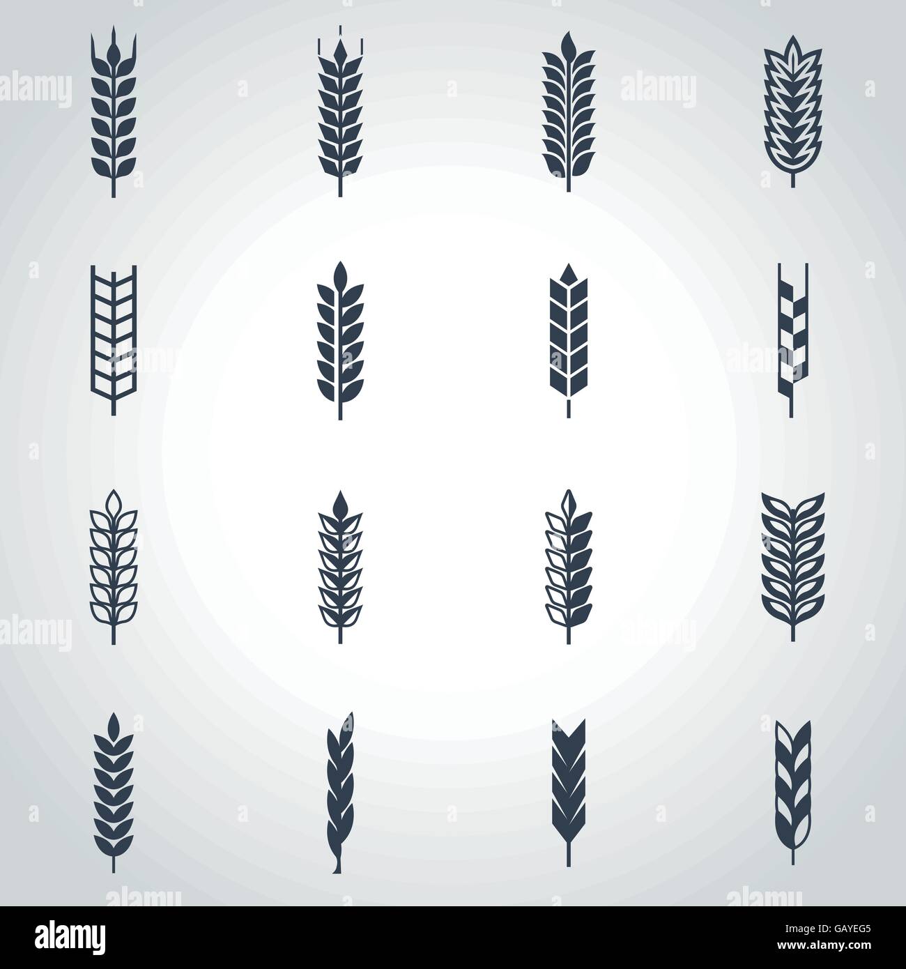 Vector black wheat ear icon set Stock Vector Image & Art - Alamy