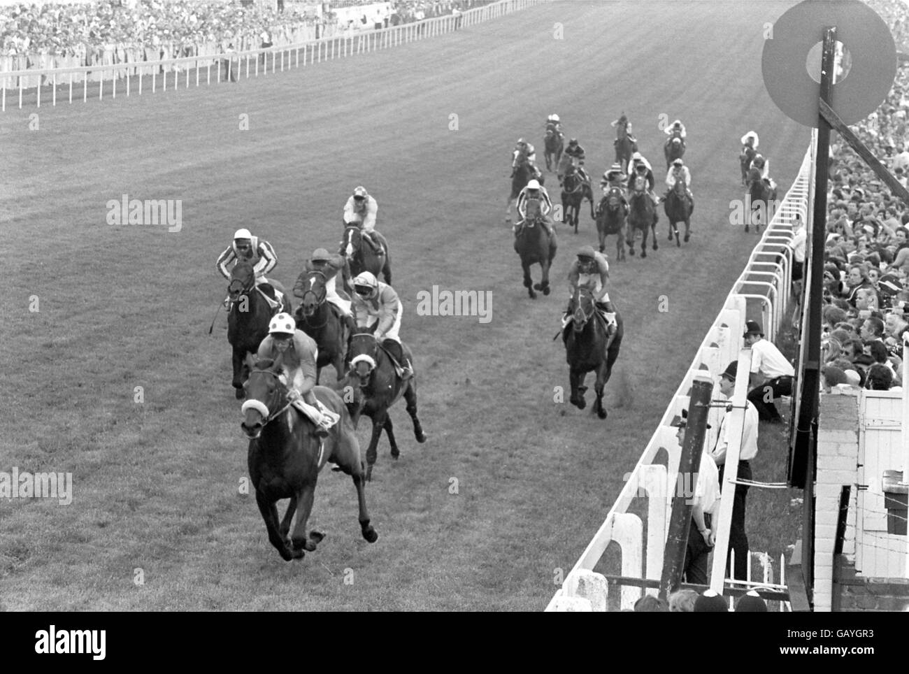 Horse Racing - The Derby Stakes - Epsom. Golden Fleece, Pat Eddery up (spotted cap), passes the post to win from Touching Wood, P Cook up, and Silver Hawk, A Murray up Stock Photo