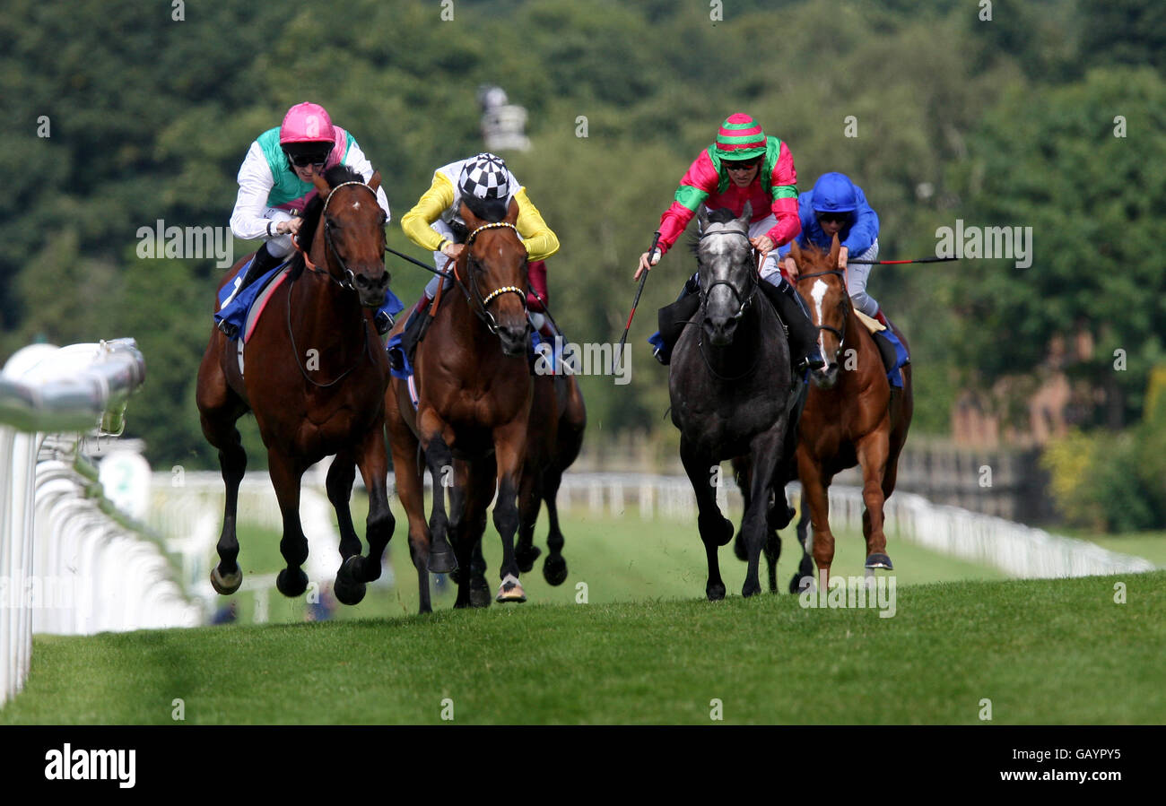Many Volumes (pink cap) ridden by Ted Durcan comes home to win The William Ewart Properties Gala Stakes Stock Photo