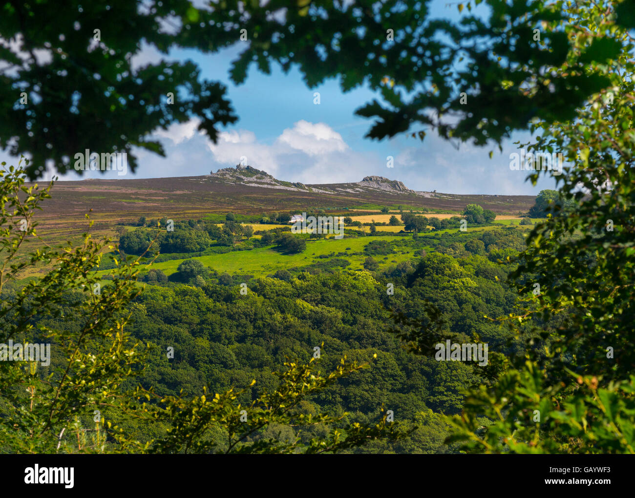 The Stiperstones seen from Hope Valley Nature Reserve in south Shropshire, England, UK. Stock Photo