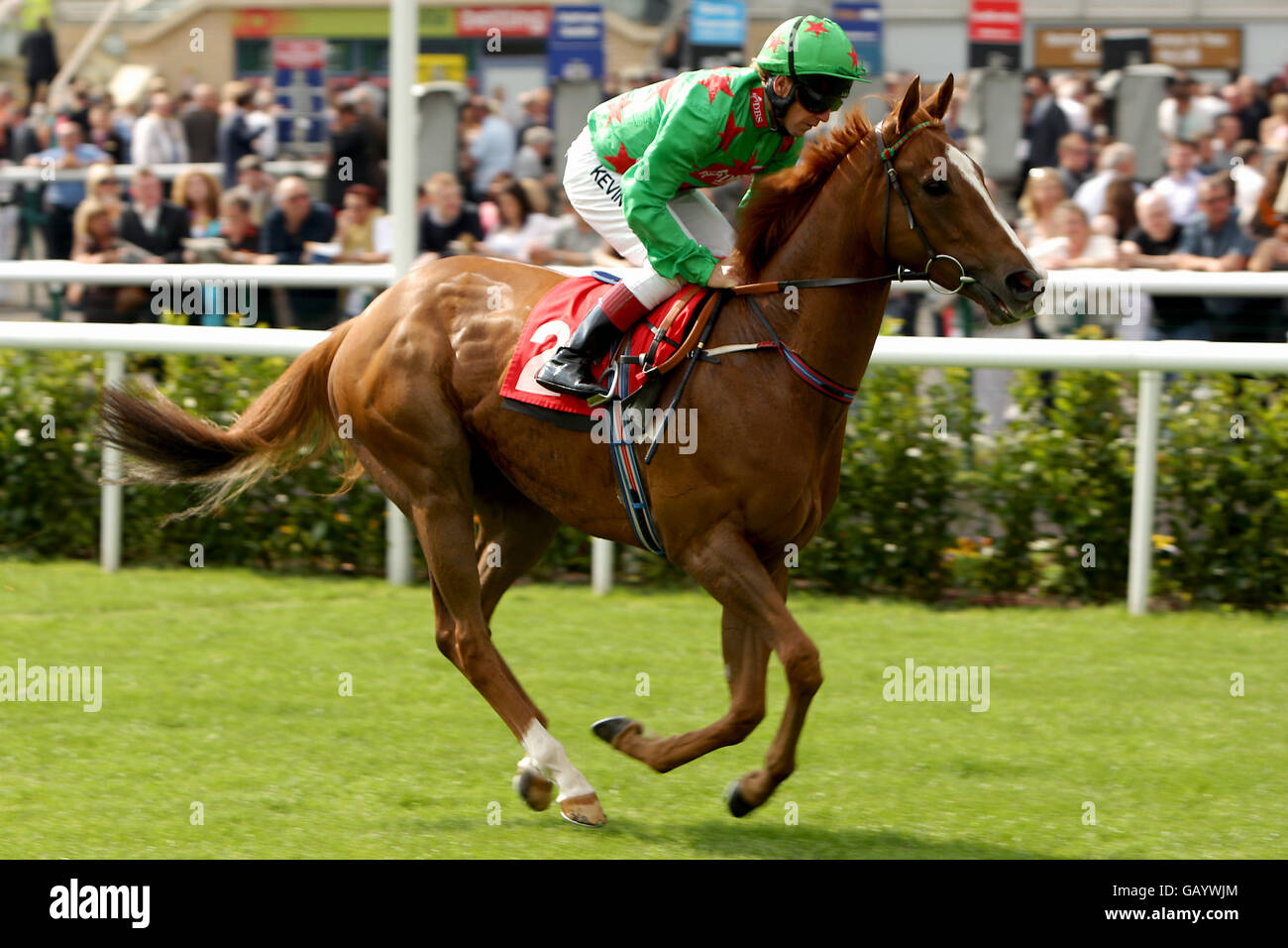 Jockey Kevin Shea on Giganticus prior to the Doncaster Free Press