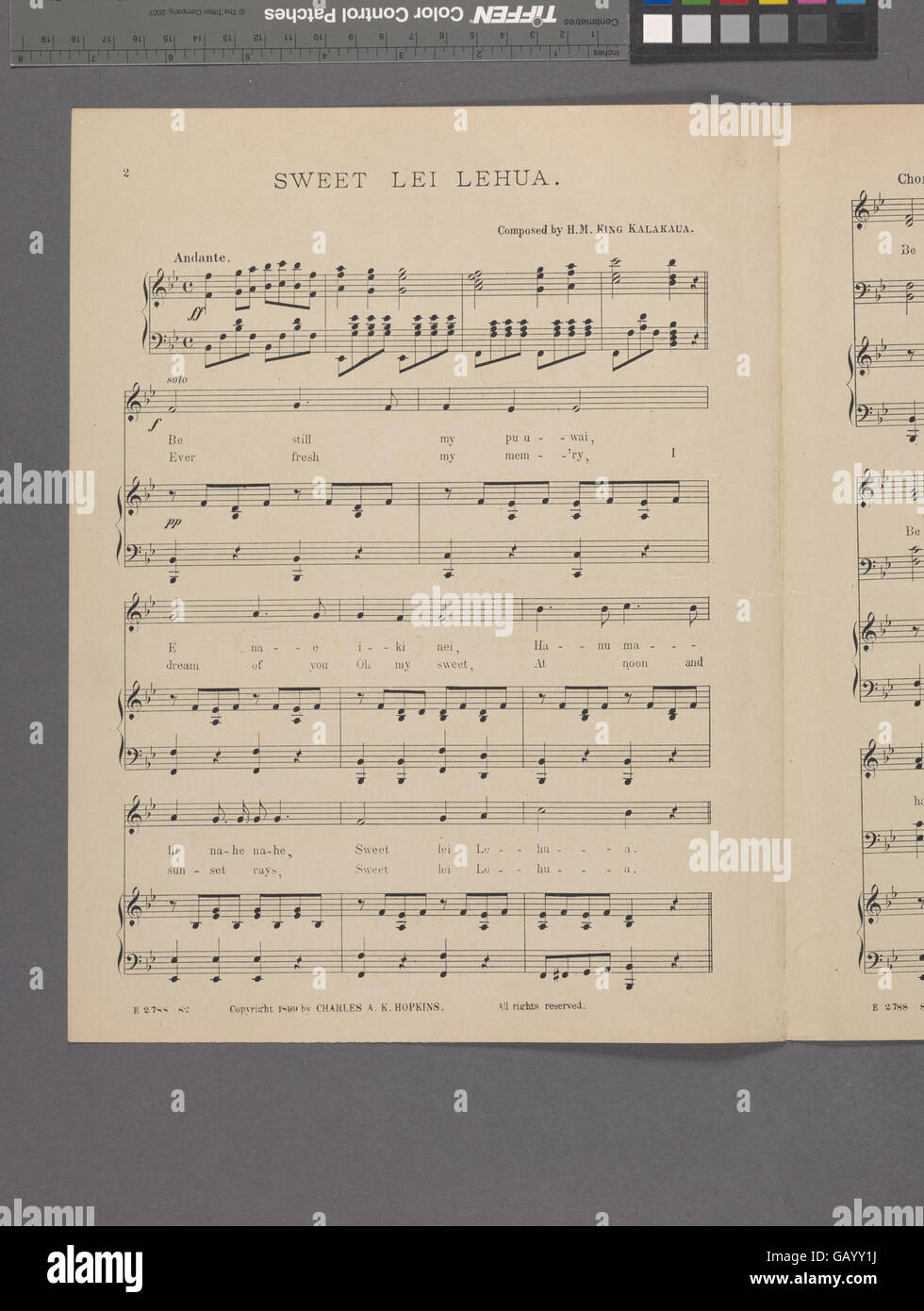 Sweet lei Lehua ( Hades6095771997470 Stock Photo Alamy