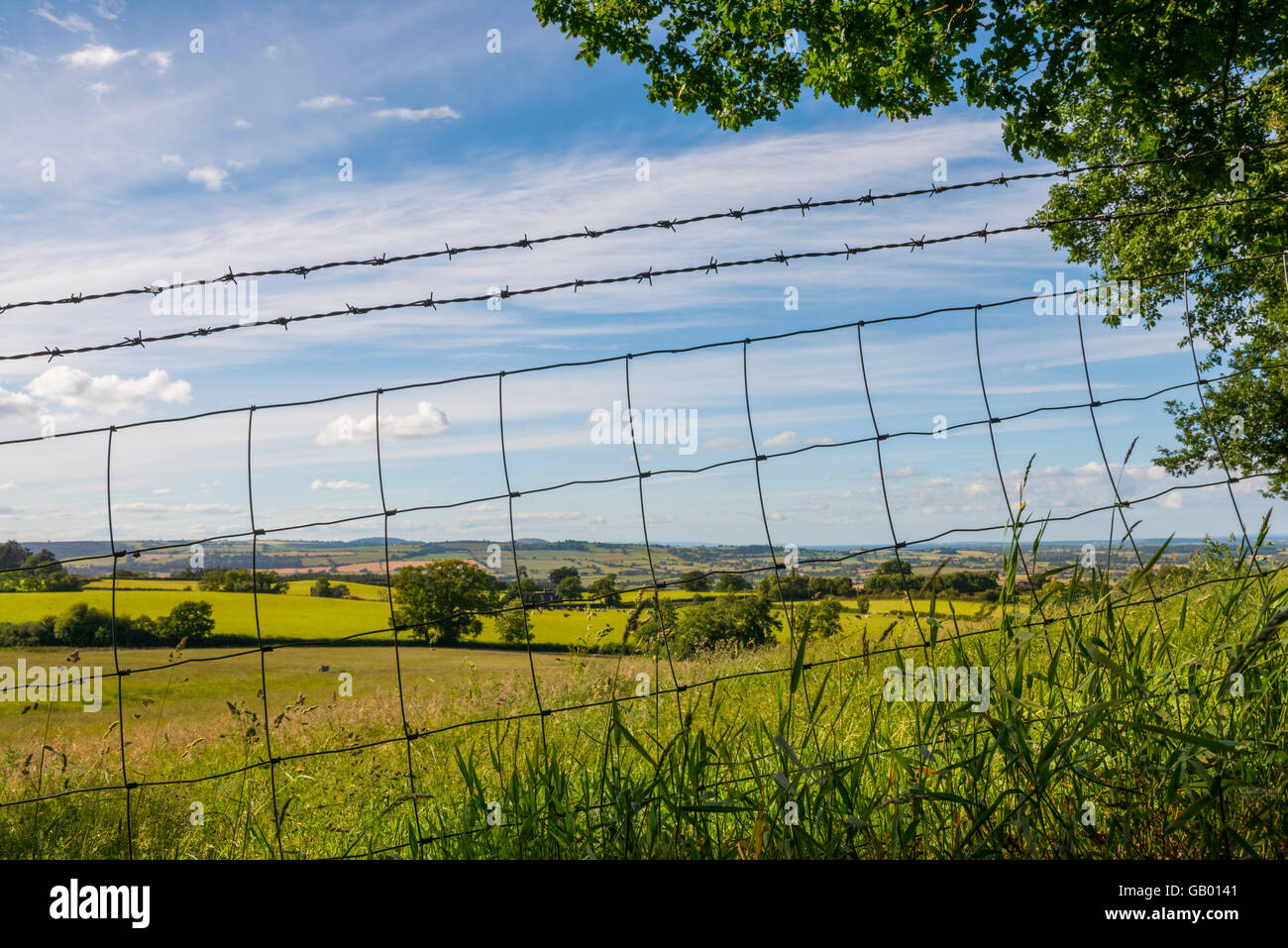 Stock fencing hires stock photography and images Alamy