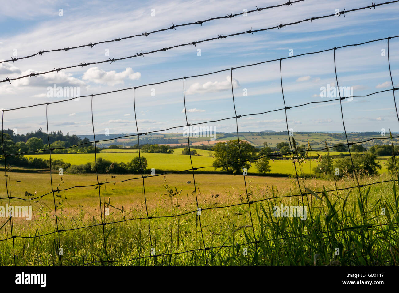 Livestock fencing on a farm in the Shropshire countryside, England, UK. Stock Photo