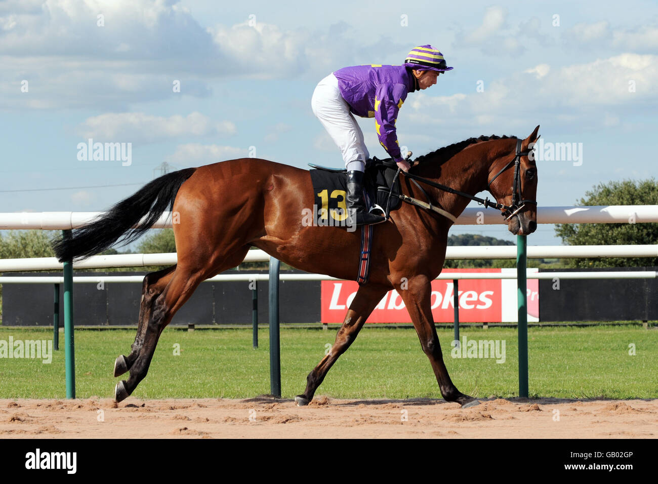 Full Length Horse Racing High Resolution Stock Photography and Images