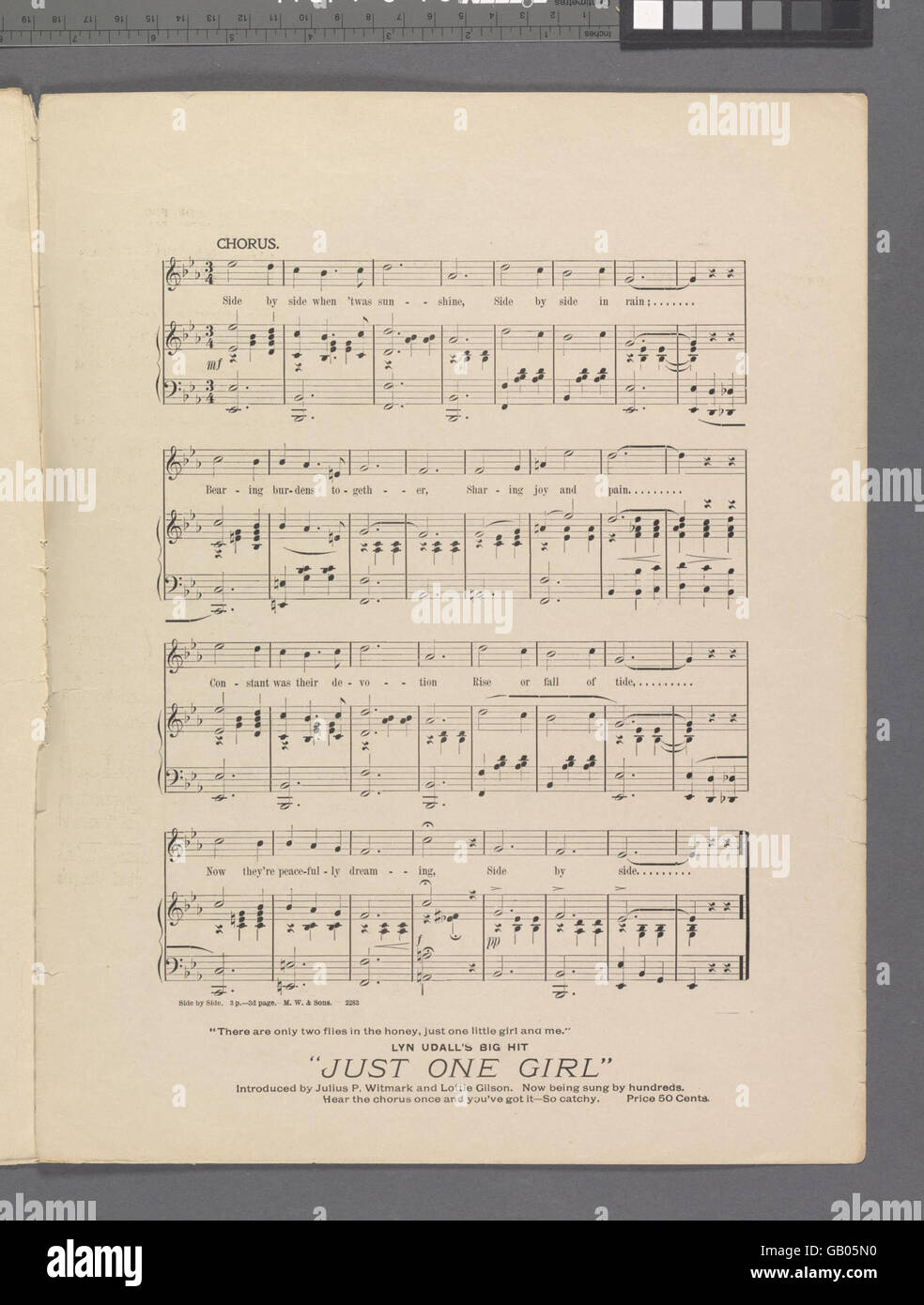 This image features two subjects placed side by side, emphasizing their ...