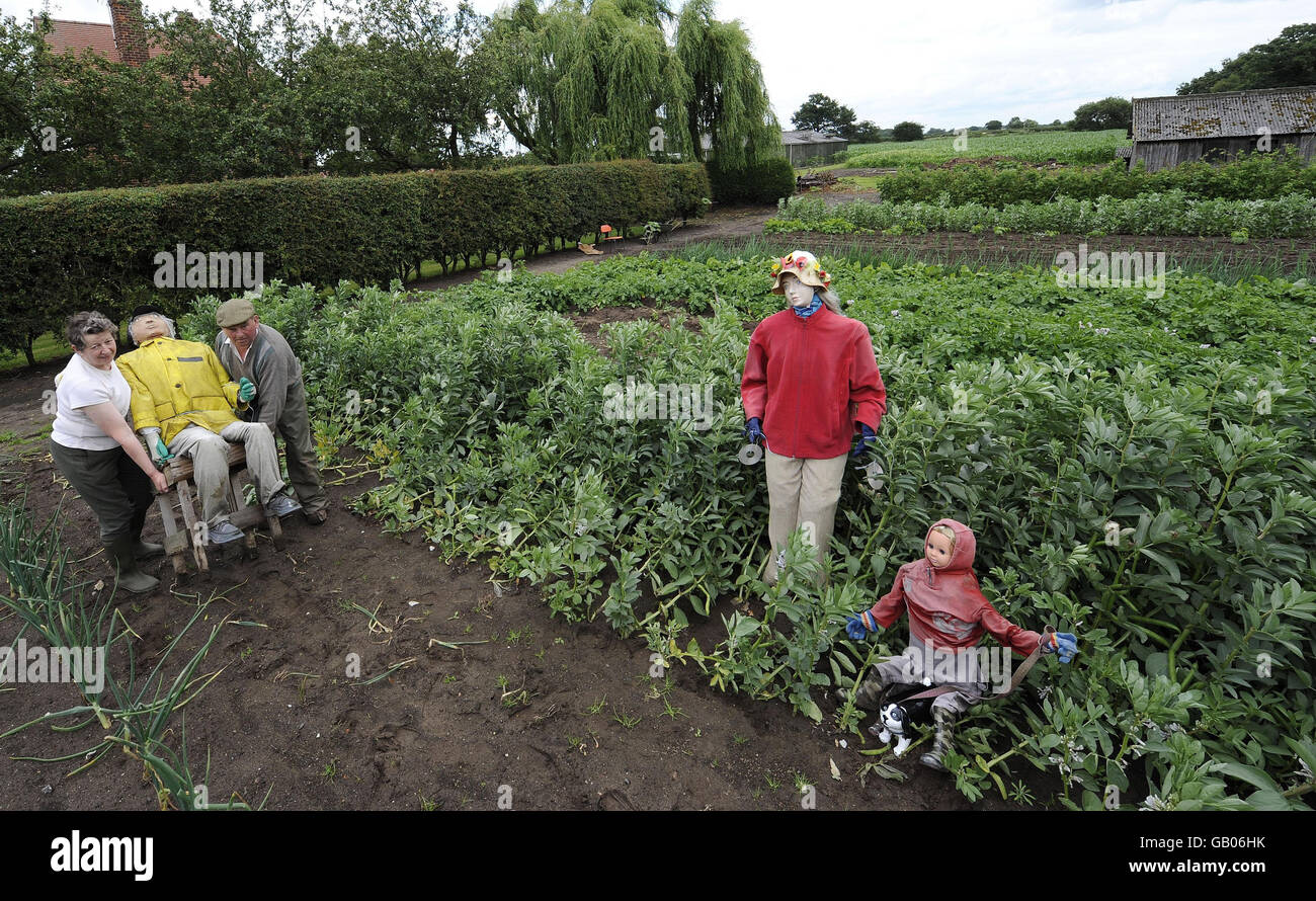 PICTURE. Scarecrows are dressed in their wet weather clothes by the farmers (names not given) in a bid to keep the birds away on this farm near Selby. Stock Photo