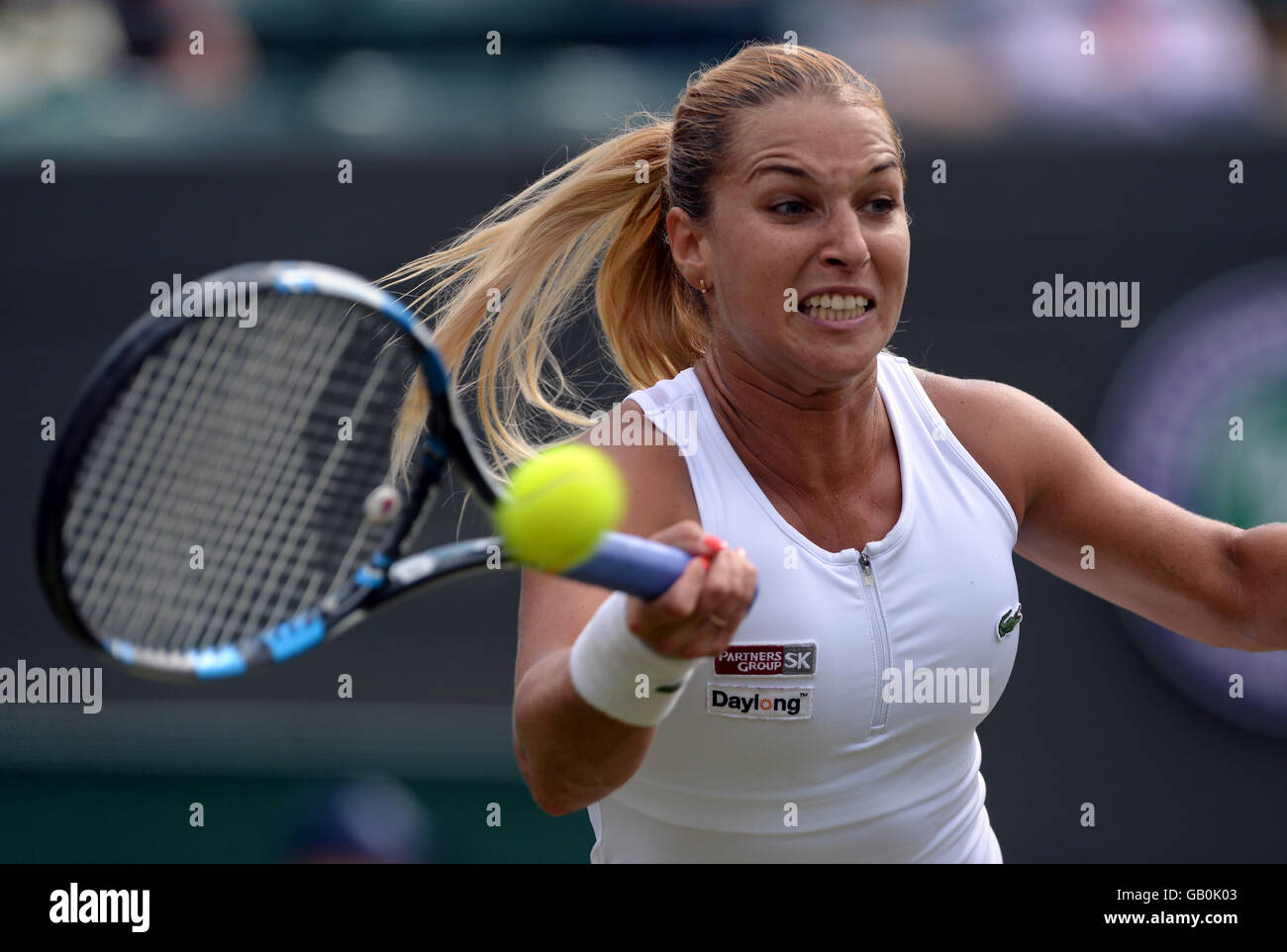 Dominika Cibulkova Pictures