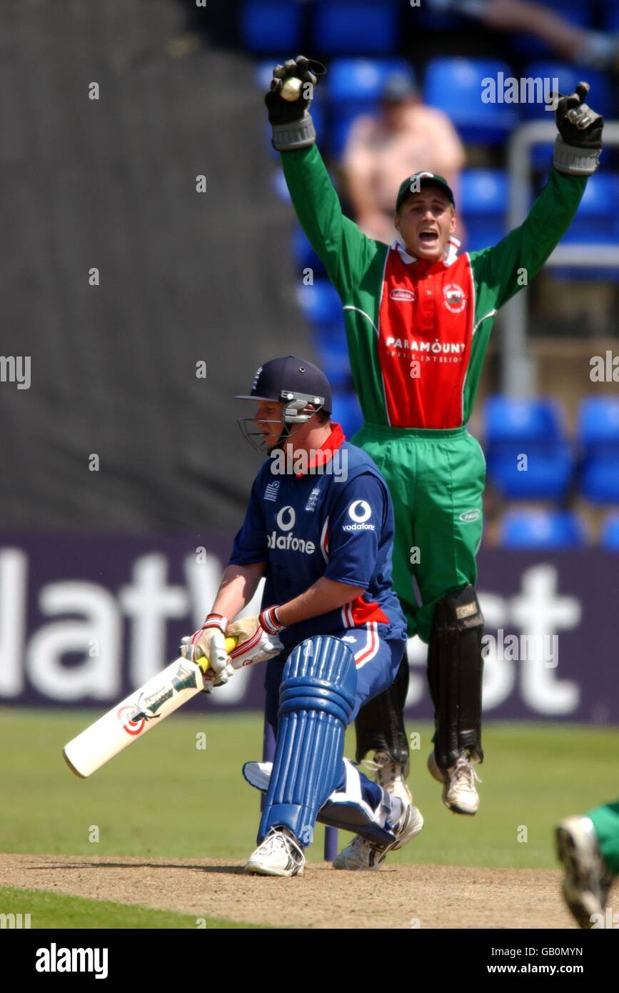 Wales wicket keeper Mark Wallace celebrates after catching England batsman Anthony McGrath for 50 runs off a Robert Croft delivery Stock Photo