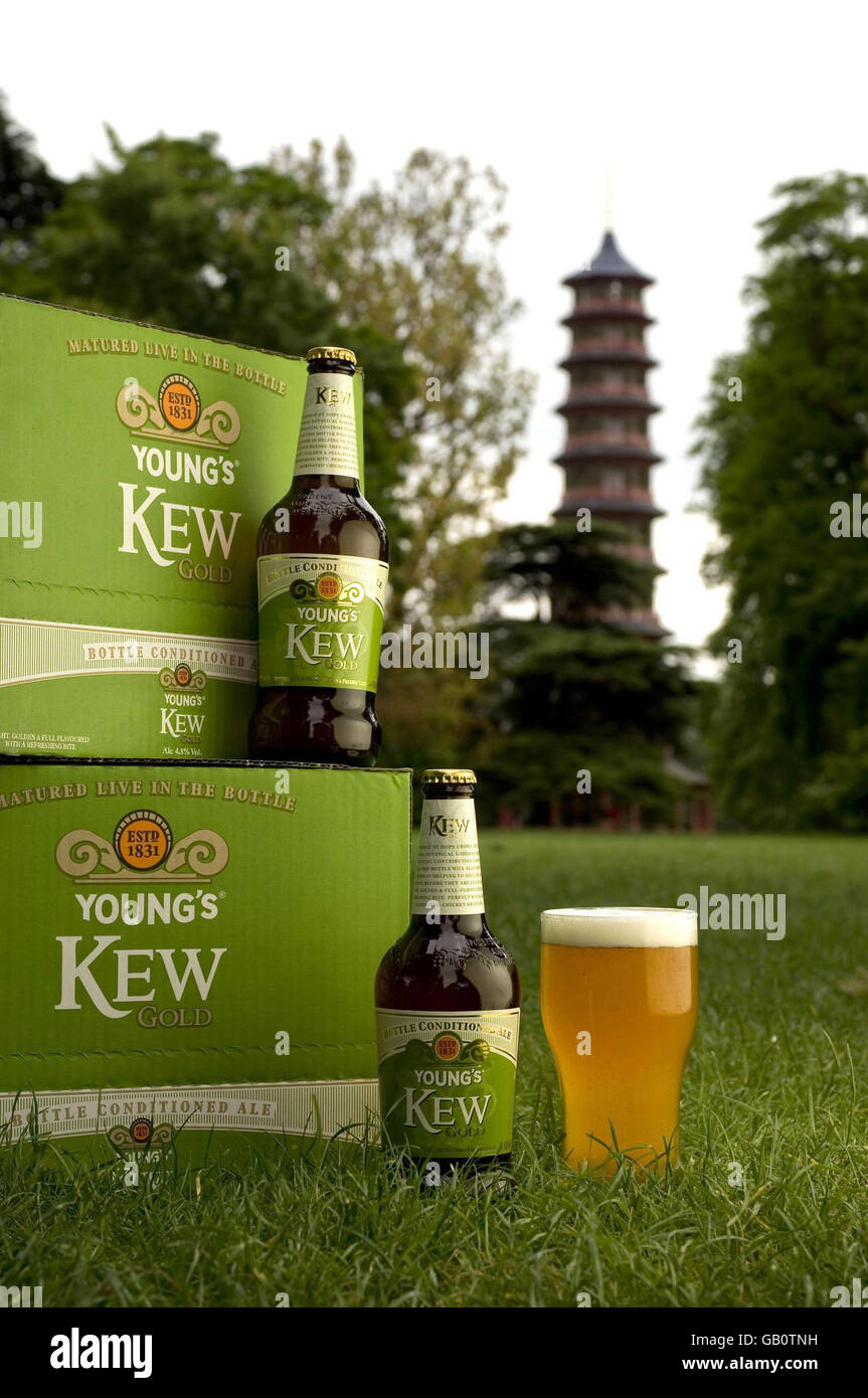 Kew Gardens Beer Stock Photo Alamy
