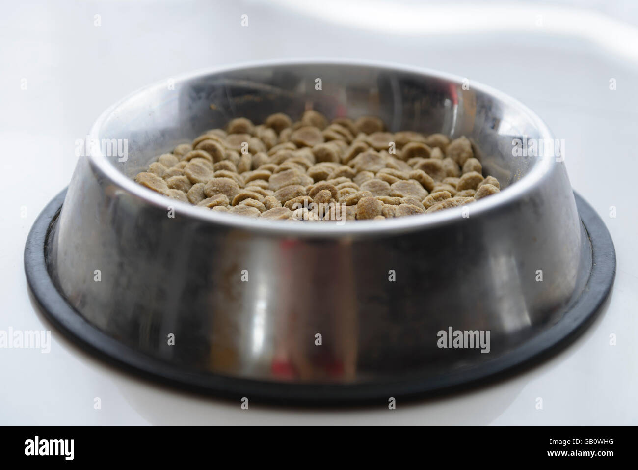 Bowl of dry kibble dog food Stock Photo Alamy