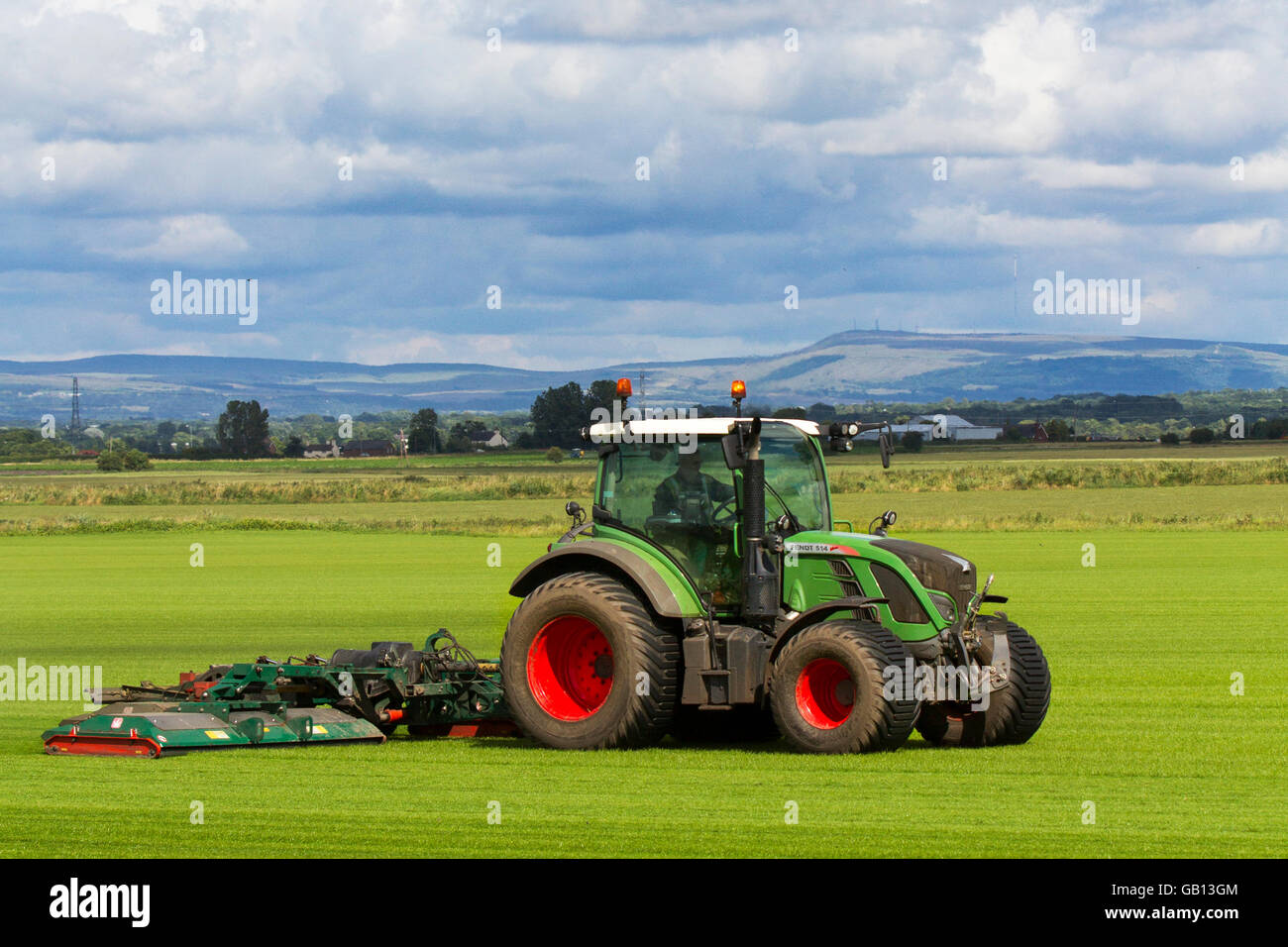 A farmer mowing a field of commercial turf in Burscough, Lancashire, UK, driving a Fendt 514 Vario tractor mowing a new crop of grasses, green, grass, nature, lawn, grow, plant, growth, field, background, meadow, spring, natural, summer, garden, environment, grown for the local demand for turf. These fields are growing grass this year is part of the farmers crop rotation system. The principle of crop rotation is to grow specific groups of vegetables on different parts of the farm each year. Stock Photo