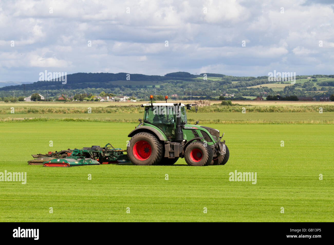 A farmer mowing field of commercial turf in Burscough, Lancashire, UK, driving a Fendt 514 Vario tractor mowing a new crop of grasses, green, grass, nature, lawn, grow, plant, growth, field, background, meadow, spring, natural, summer, garden, environment, grown for the local demand for turf. These fields are growing grass this year is part of the farmers crop rotation system. The principle of crop rotation is to grow specific groups of vegetables on different parts of the farm each year. Stock Photo