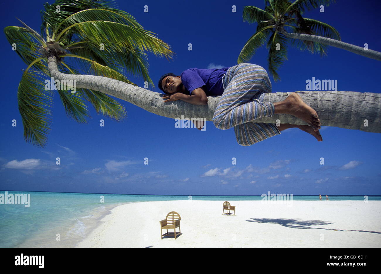 Der Traumstrand mit Palmen und weissem Sand an der Insel Velavaru im Southmale Atoll auf den Inseln der Malediven im Indischen O Stock Photo