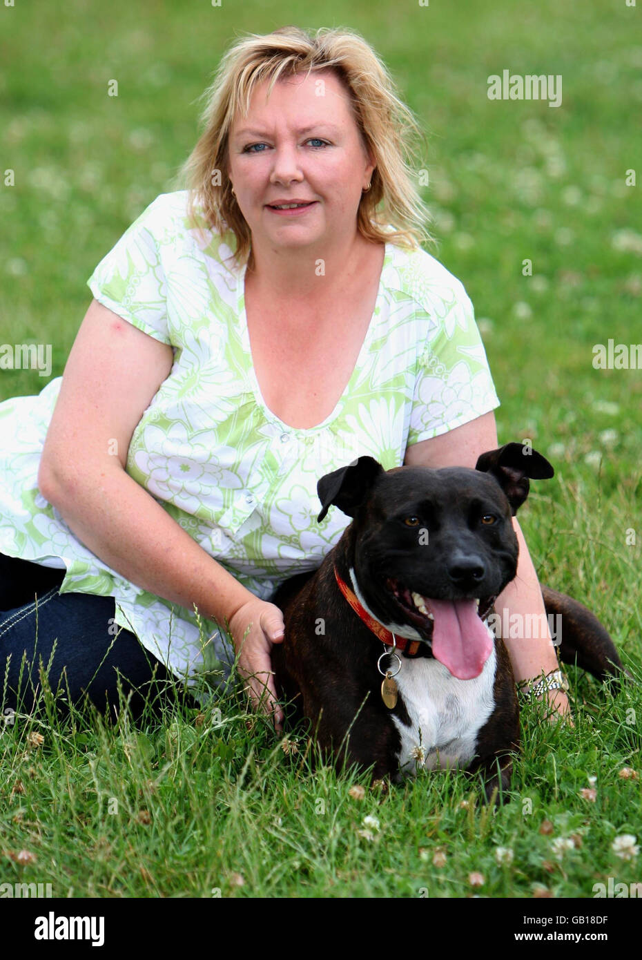 Potters bar dennis abused in past rehabilitated southridge animal