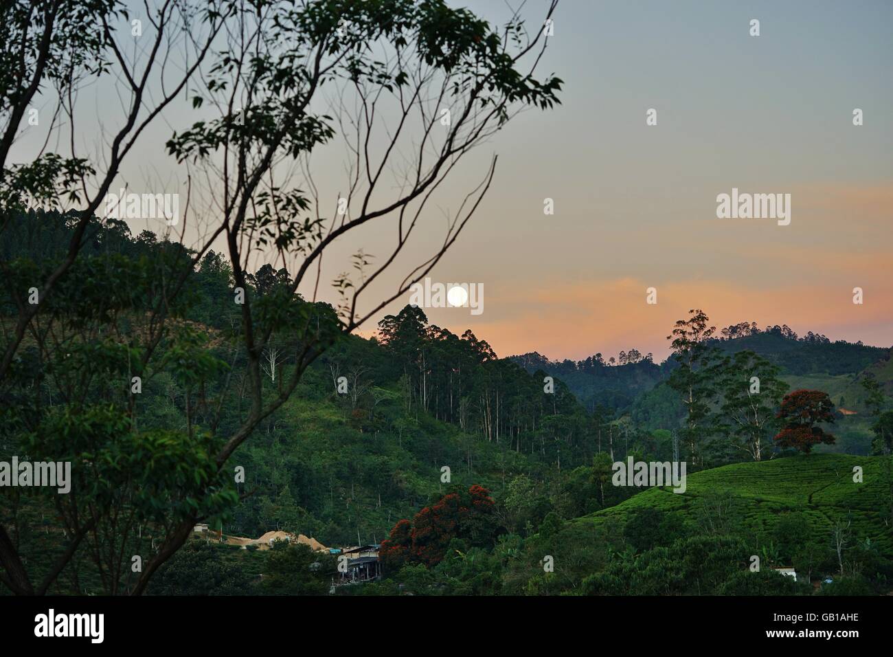 View of Ella from Little Adam's Peak in Sri Lanka, sunset hiking in South East Asia Travel and travelling stock photograph Stock Photo