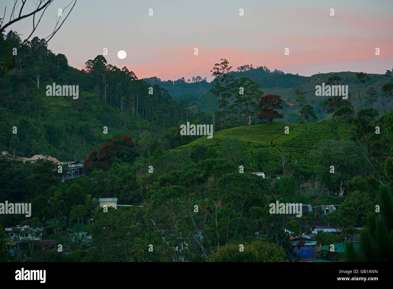 View of Ella from Little Adam's Peak in Sri Lanka, sunset hiking in South East Asia Travel and travelling stock photograph Stock Photo