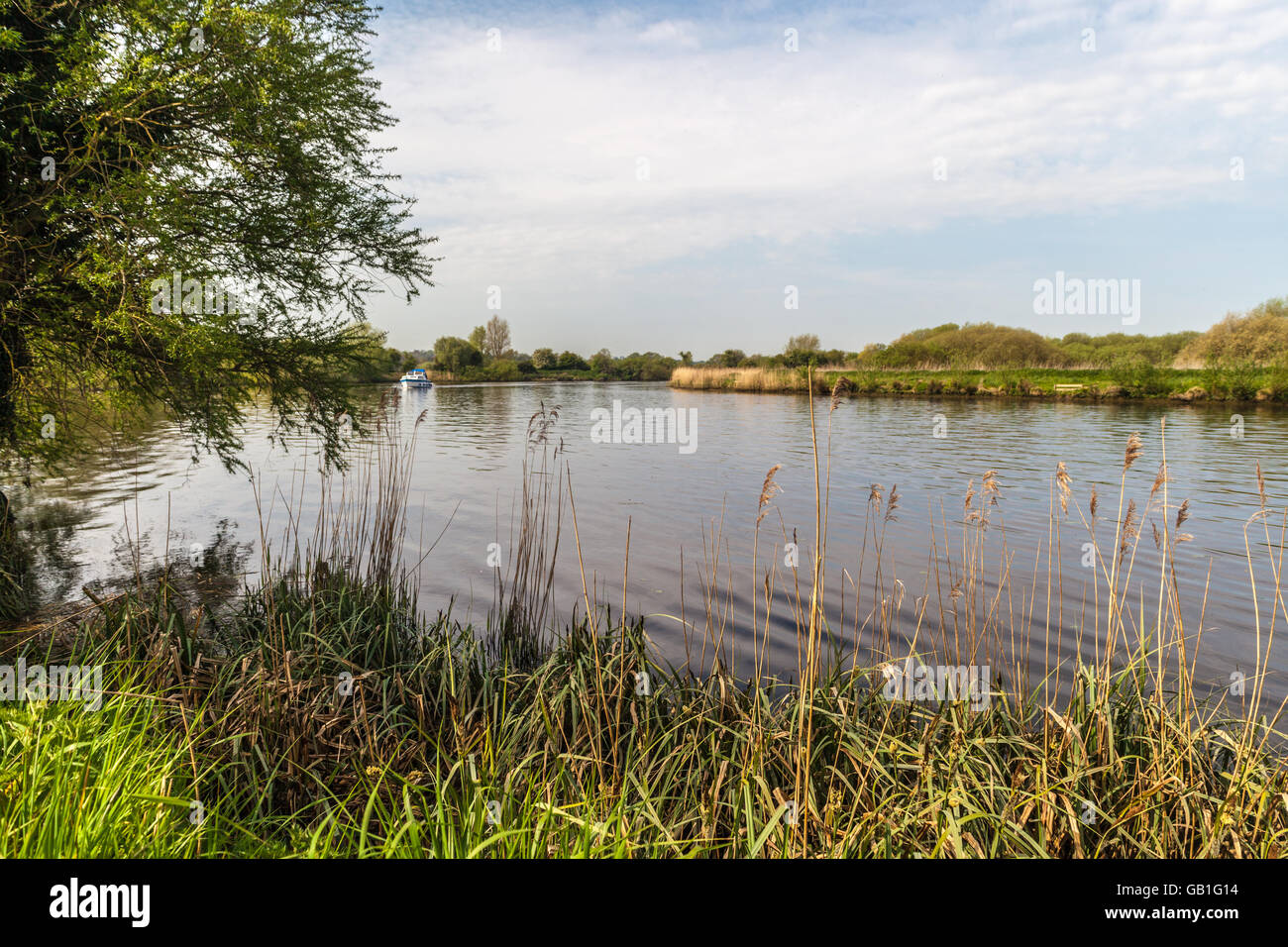 Surlingham norfolk hi-res stock photography and images - Alamy