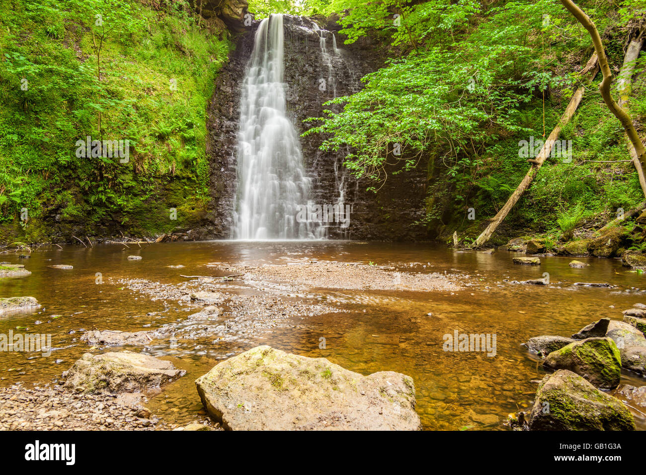 falling foss waterfall yorkshire uk Stock Photo