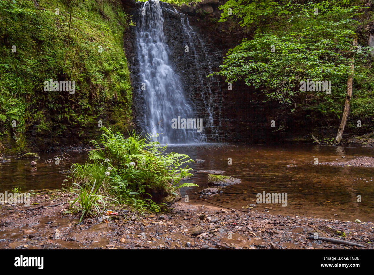 falling foss waterfall yorkshire uk Stock Photo
