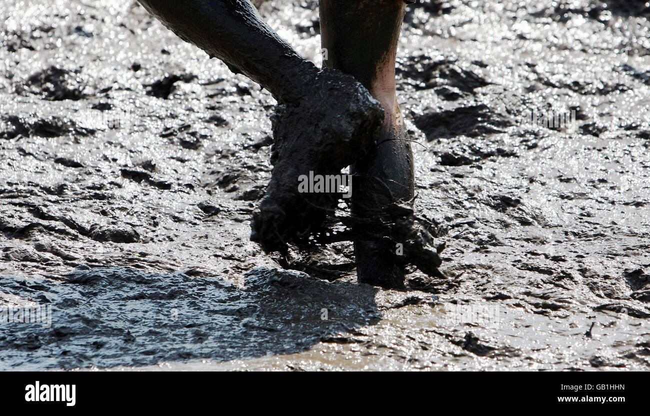 Competitors in the Nettle Warrior Tough Guy competition struggle through the mud in one of the many obstacles on the 6 mile course in Perton, Wolverhampton. Stock Photo