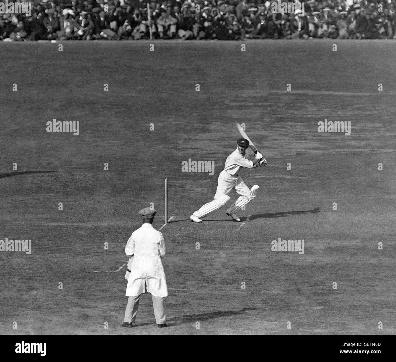 Don Bradman of Australia seen making a forceful off-drive. Bradman is recognised as the greatest exponent of batting n the world Stock Photo